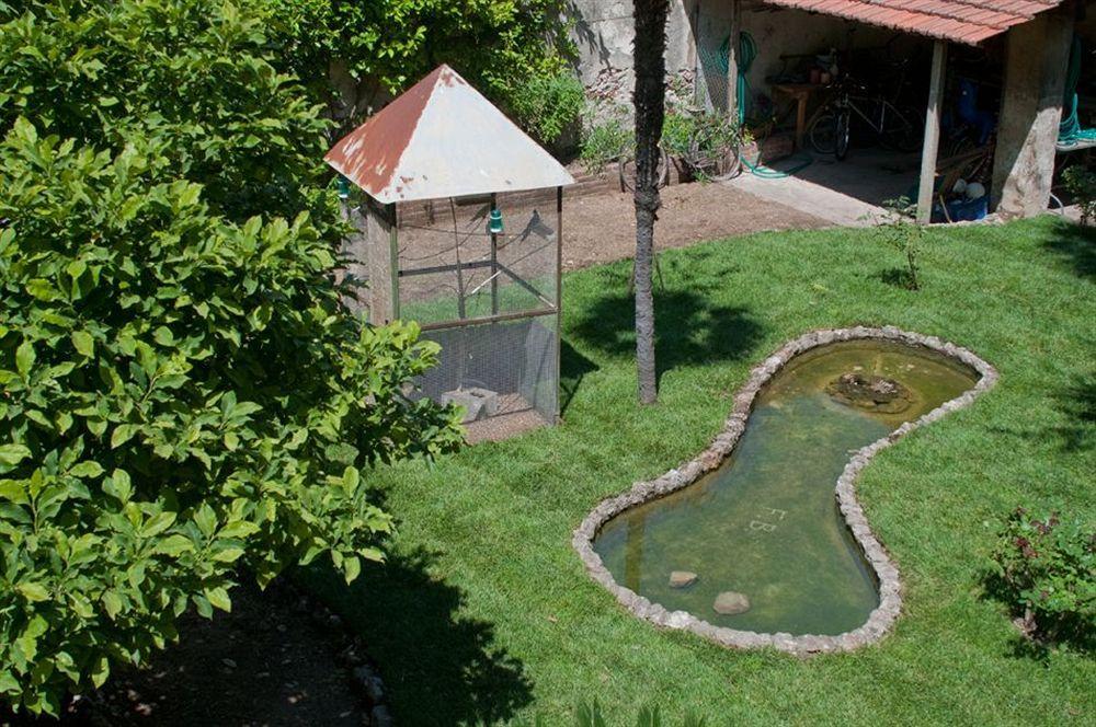 Borgo Largo 51 Bed & Breakfast Pisa Exterior photo